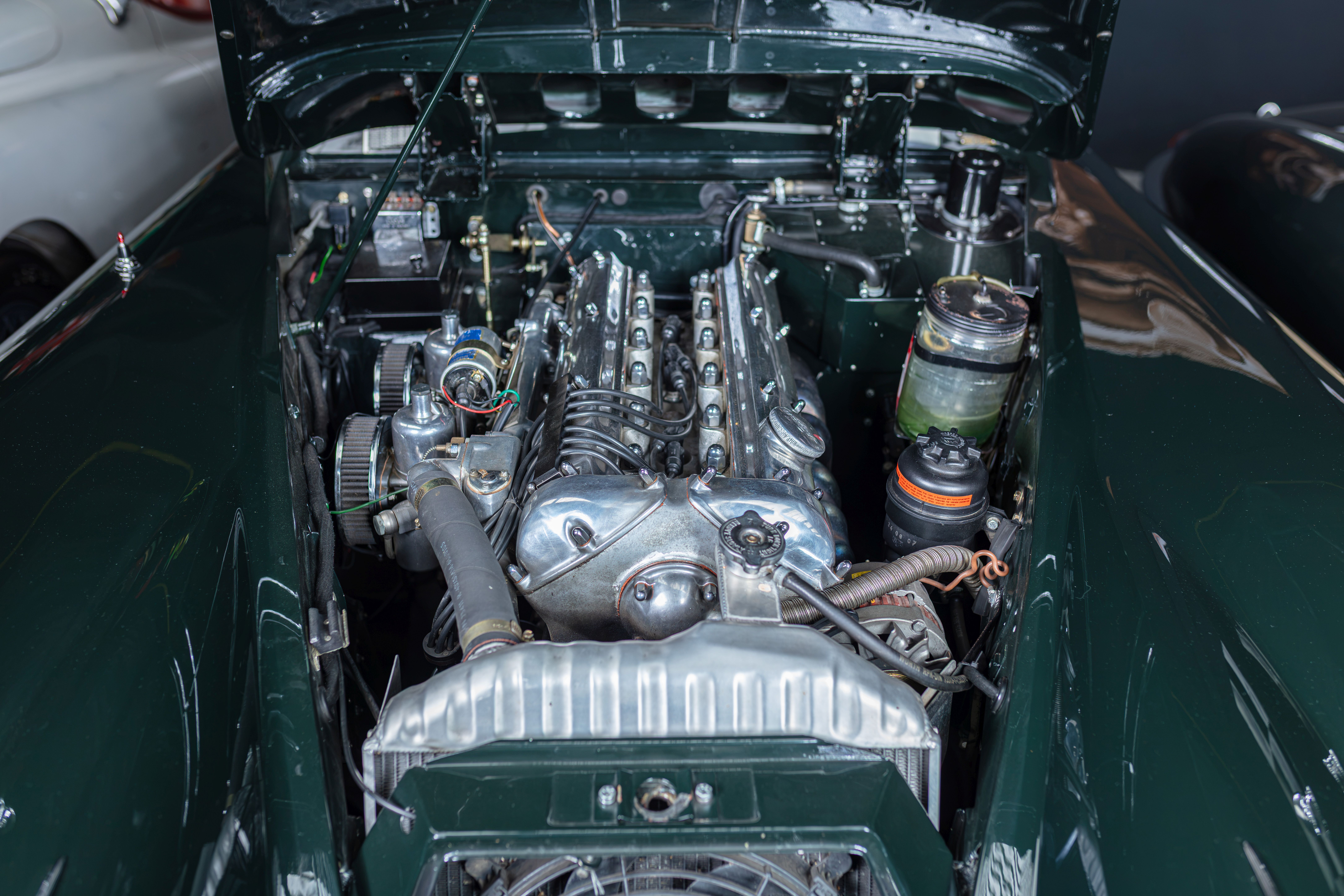 Loaded image